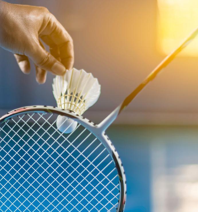 Badminton Le Stadium